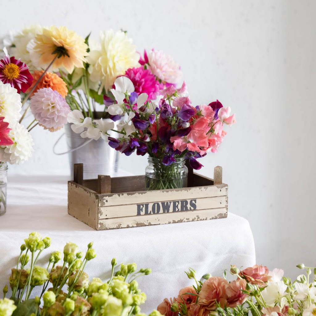 Sophie Flowers Cornwall x St. Eval | Sustainable Floral Workshop