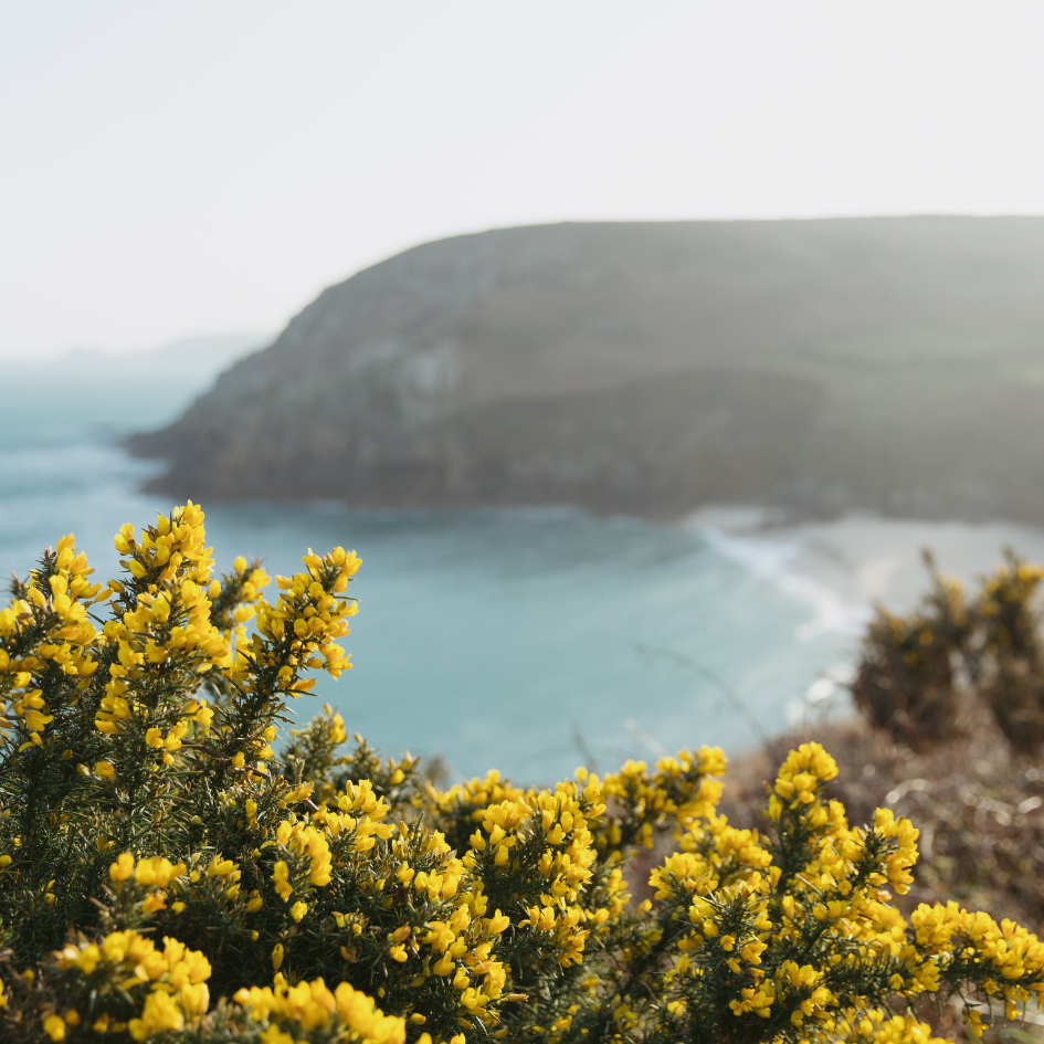 May Bank Holiday Walks in Cornwall