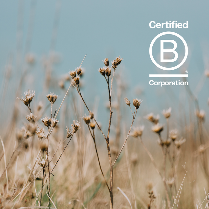 Grass Image | St. Eval B Corp