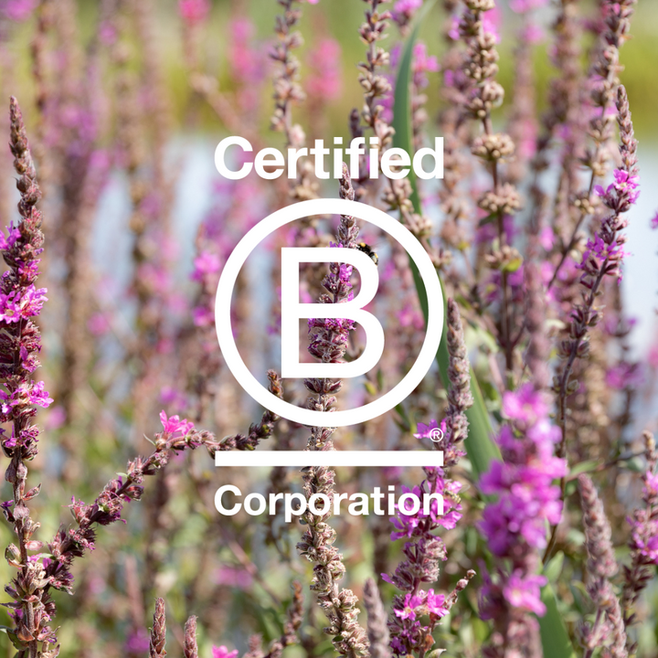 Purple flowers in the wind with an overlay of the B Corp logo