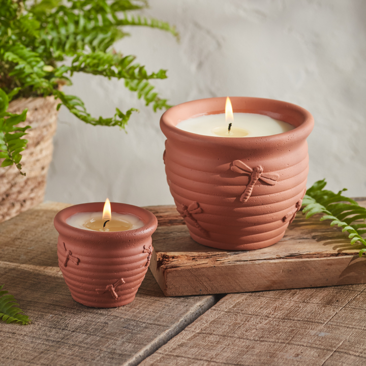 St. Eval Nature's Garden Dragonfly Pots