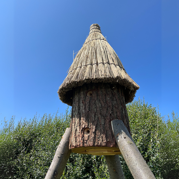 Welcoming the Rocket Bee Hive to St Eval