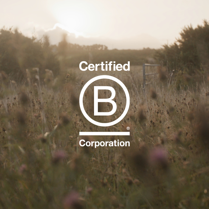 Celebrating B Corp Month