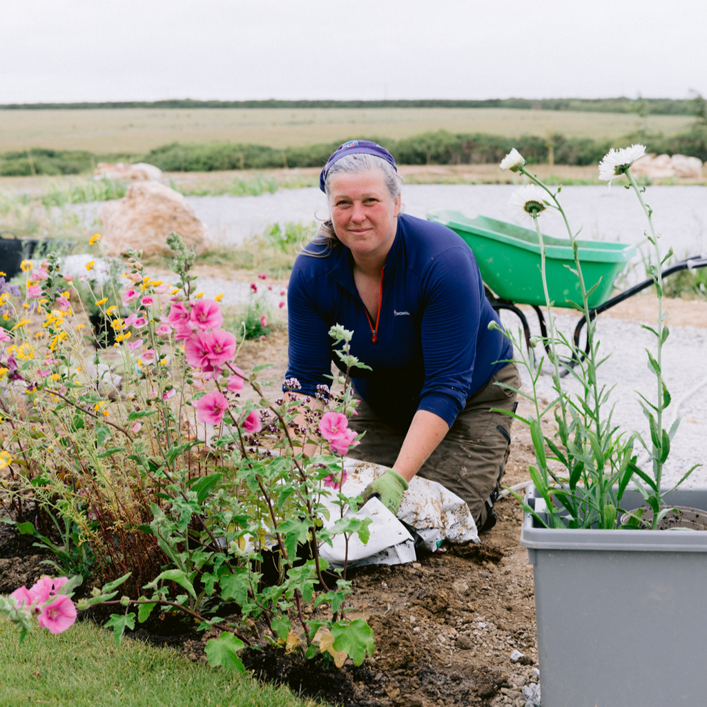 Happy Habitats at St. Eval