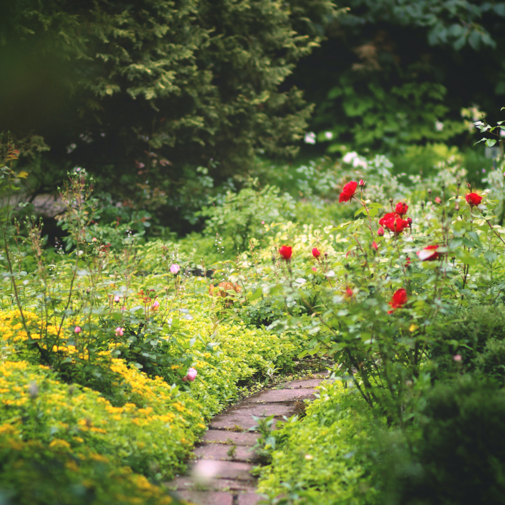 Mental Health Awareness Week | Coping With Anxiety