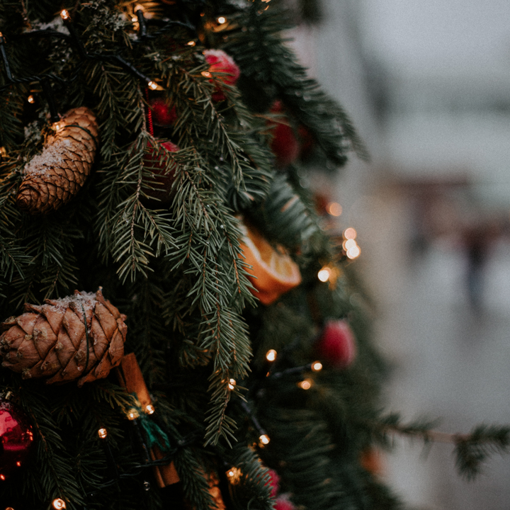 Close up of Christmas tree decorated with pinecones, orange slice and lights