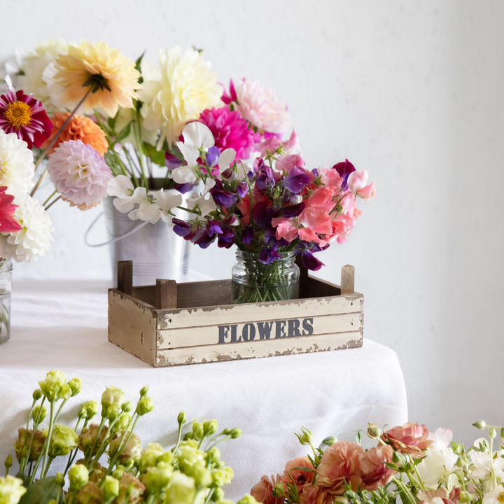 An array of potted flowers on and underneath a table