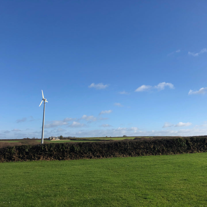 Home Grown | Shopping & Eating Locally