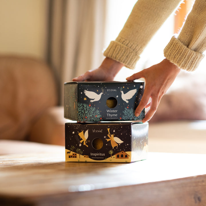 One lit Inspiritus Scented Christmas Tin Candle and an unopened box of Inspiritus Scented Christmas Tealights featuring angels and stars