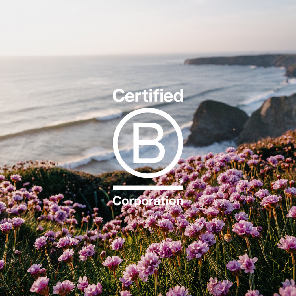 B Corp Month 2023