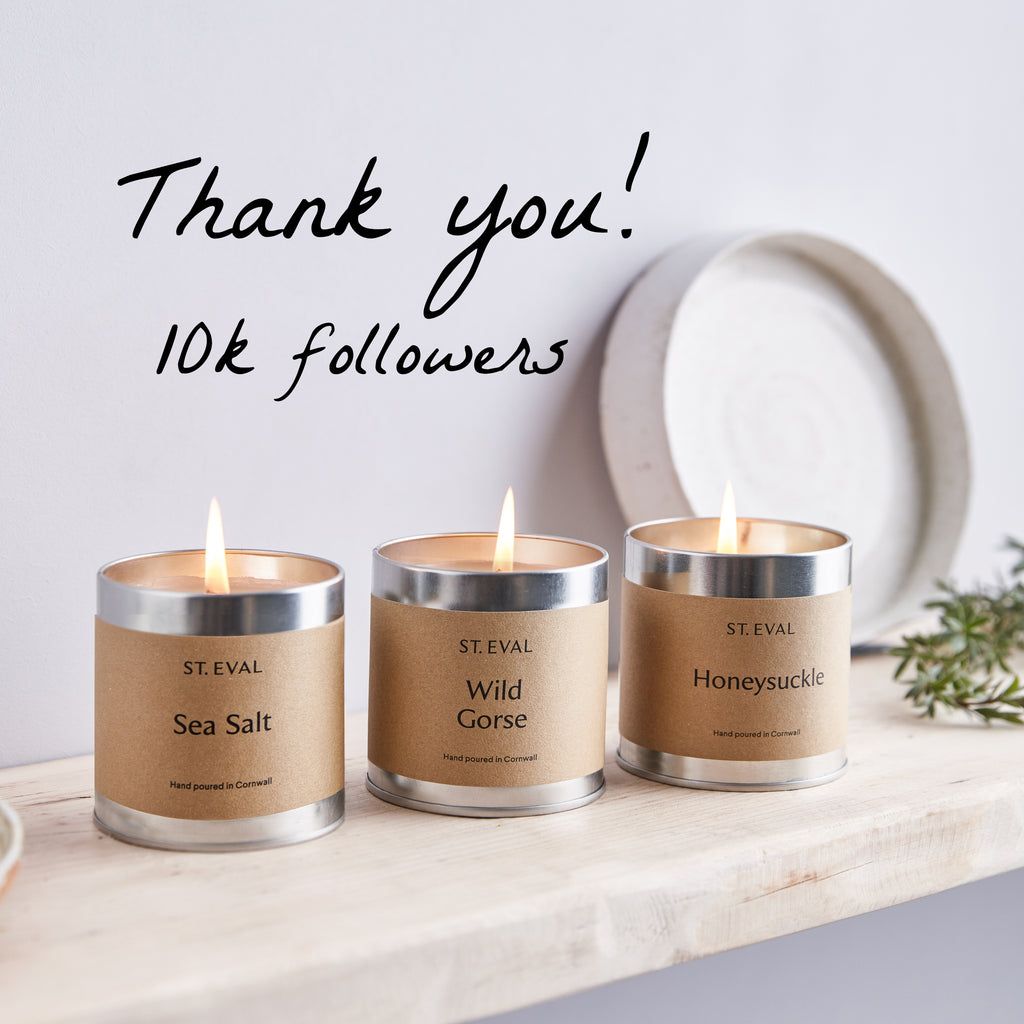 Thank you | 10k Instagram Followers