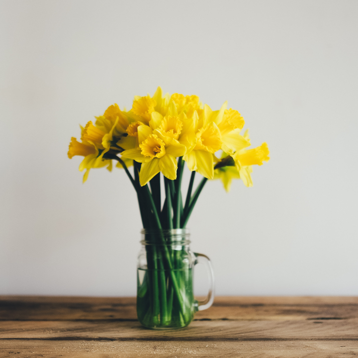 Bunch of daffodils