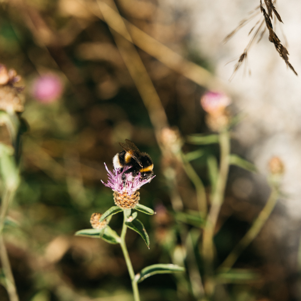 Earth Day: A Moment to Notice, A Commitment to Keep