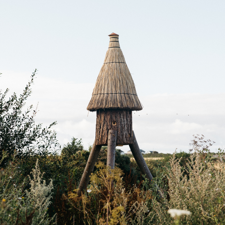 Welcoming the Rocket Bee Hive to St Eval