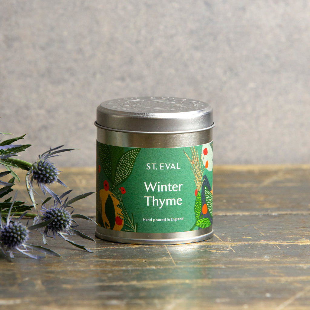 Discover Winter Thyme