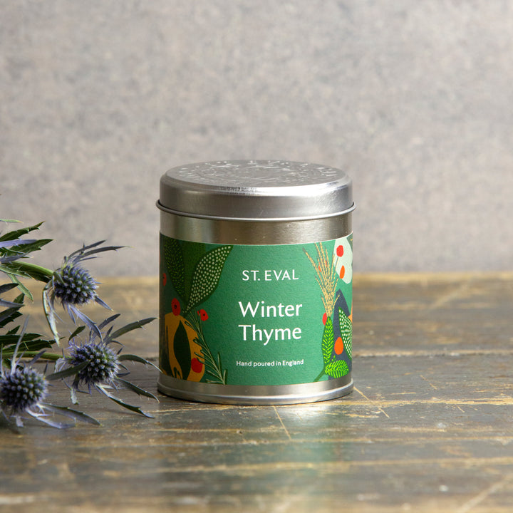 Discover Winter Thyme