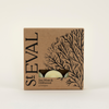 Sea Moss & Driftwood, Scented Tealights