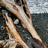 Sea Moss & Driftwood, Scented Tealights