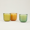 Sea Moss & Driftwood, Sea Garden Glass Candle