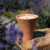 Lavender Fields, Potager Pot