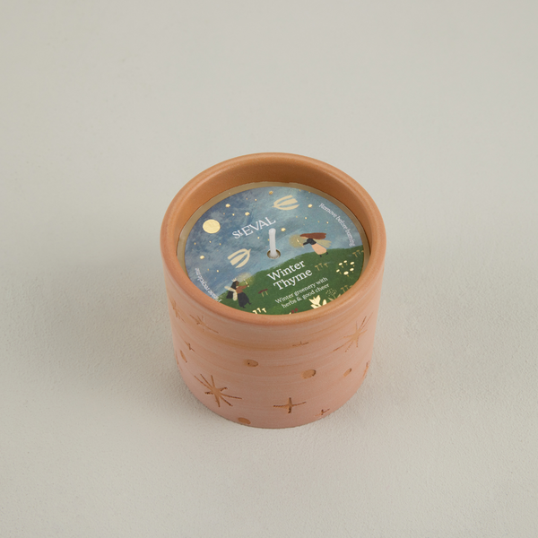 Winter Thyme, Star Gazy Pot