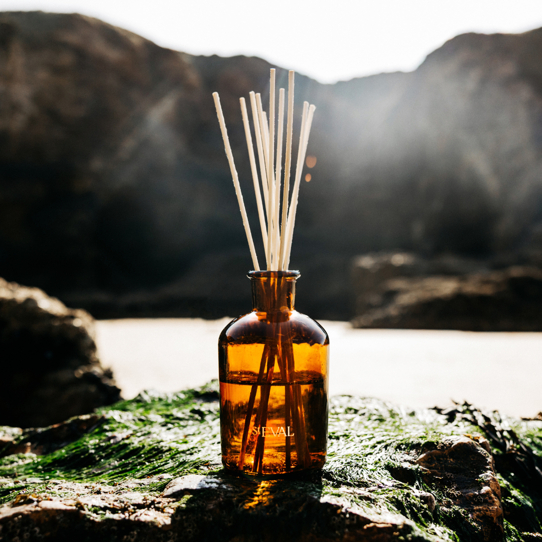 Reed Diffusers– St Eval