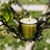 Walled Garden, Sea Garden Glass Candle