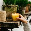 Ginger & Lemongrass, Sea Garden Glass Candle