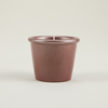Figgy Pudding, Christmas Stardust Pot