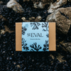 Down to the Sea Gift Set