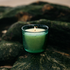 Sea Moss & Driftwood, Sea Garden Glass Candle