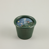 Winter Thyme, Christmas Stardust Pot
