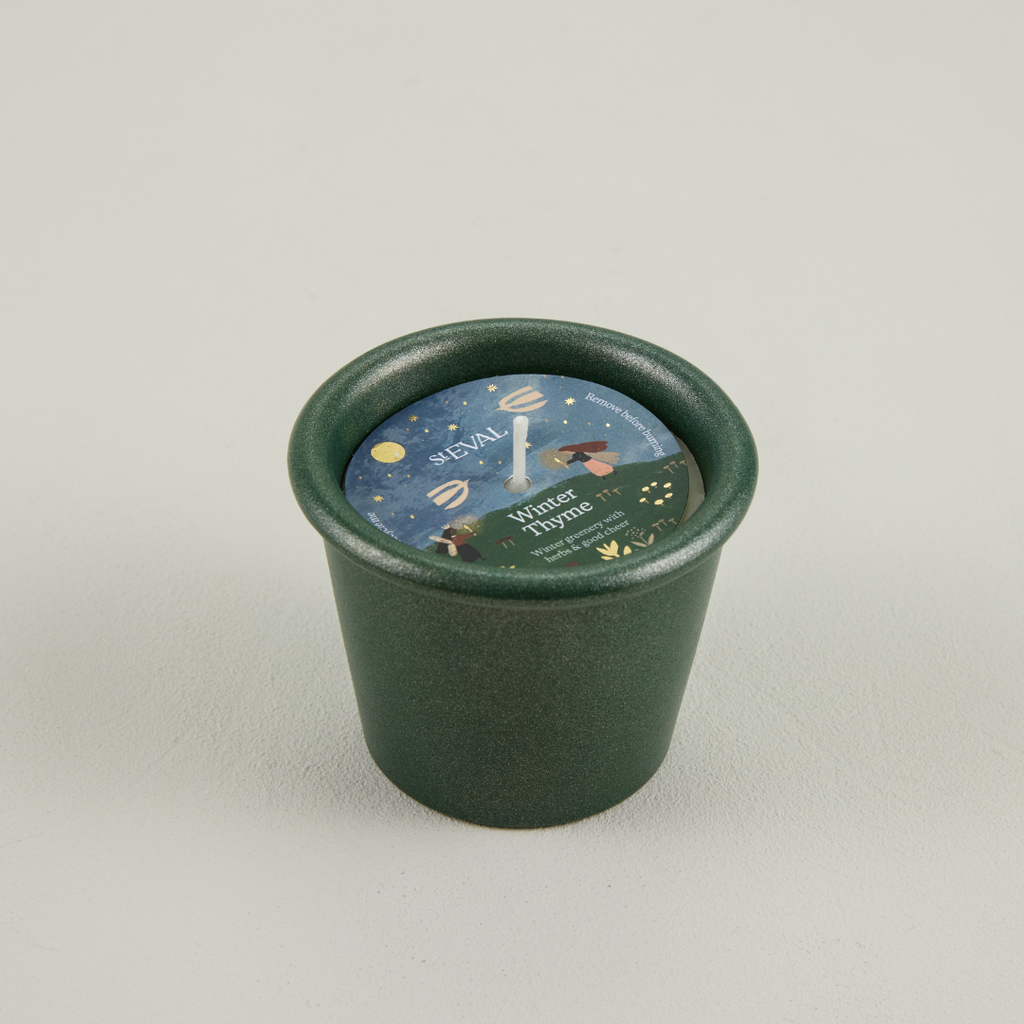Winter Thyme, Christmas Stardust Pot