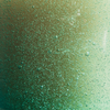 Sea Moss & Driftwood, Sea Garden Glass Candle