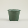 Winter Thyme, Christmas Stardust Pot