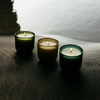 Sea Moss & Driftwood, Sea Garden Glass Candle