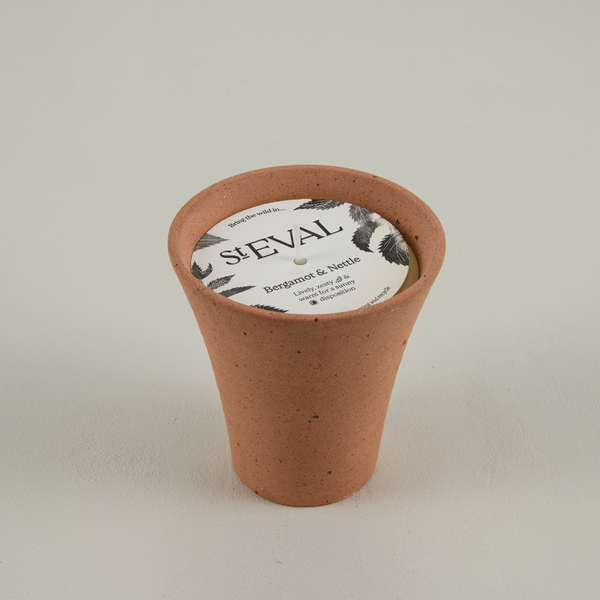 Bergamot & Nettle, Potager Pot