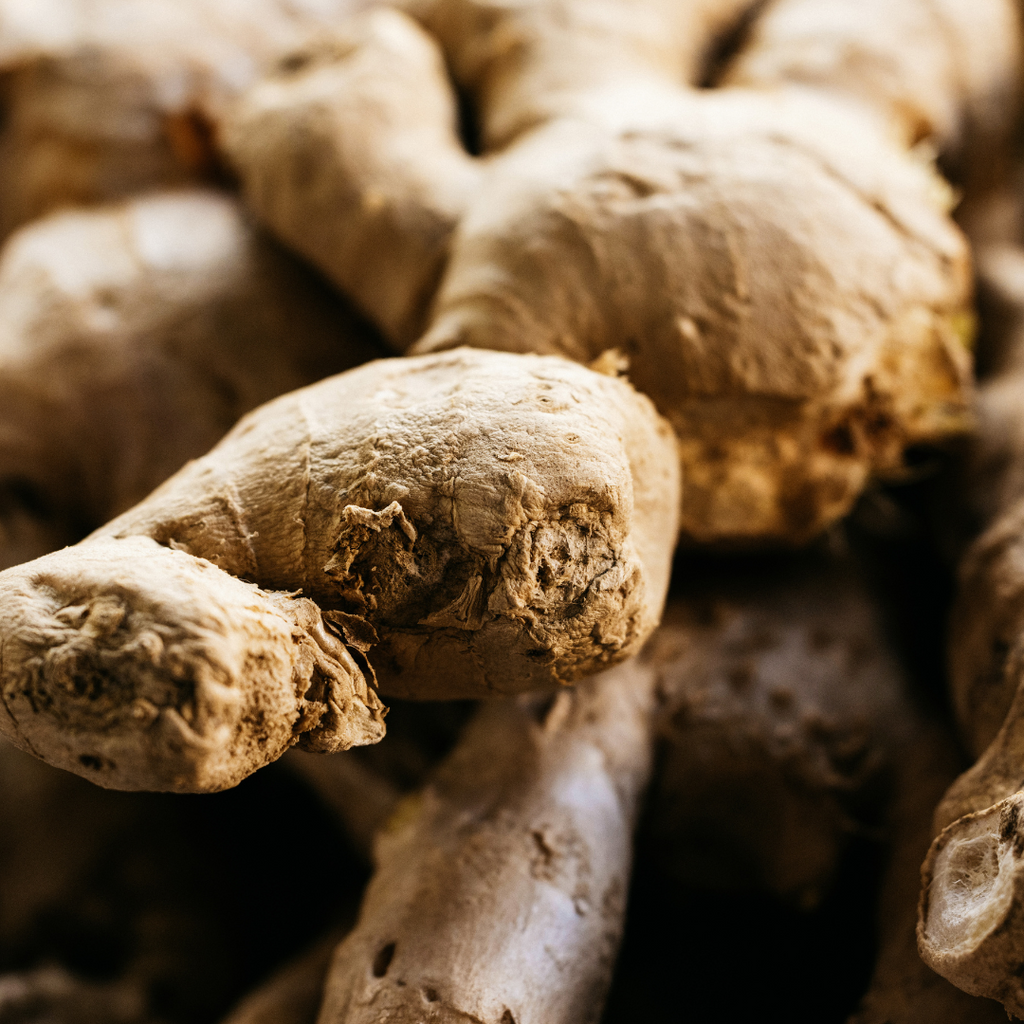 Ginger Hand Ginger & Lemongrass, Hand Lotion– St Eval
