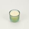 Sea Moss & Driftwood, Sea Garden Glass Candle