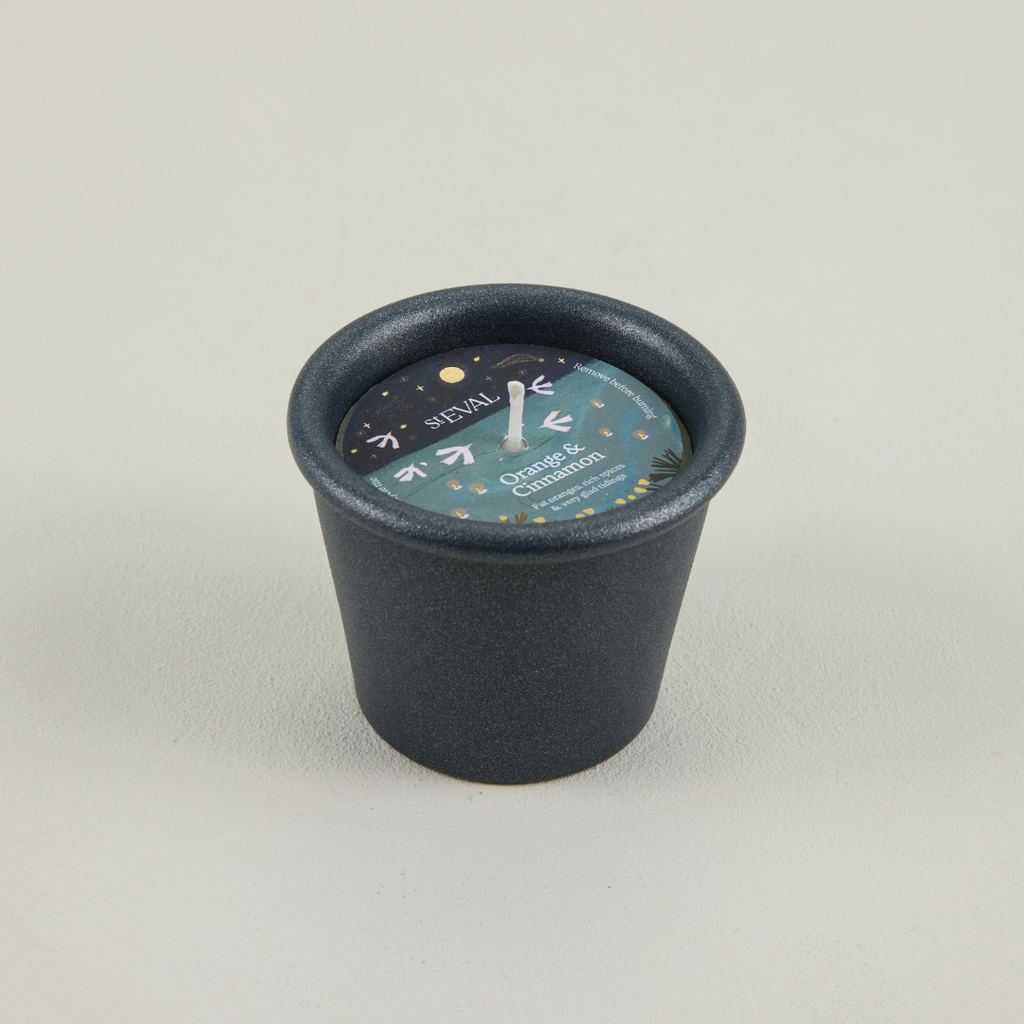 Orange & Cinnamon, Christmas Stardust Pot