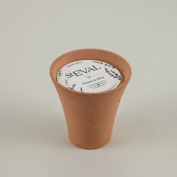 Thyme & Mint, Potager Pot