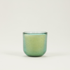 Sea Moss & Driftwood, Sea Garden Glass Candle