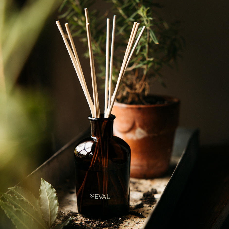 Reed Diffusers– St Eval