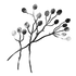 Hawthorn & Berries