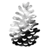Winter Thyme