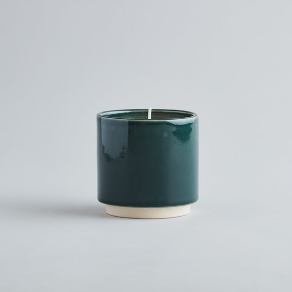 Winter Thyme, Winter's Eve Pot