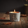 Winter Thyme, Winter Woodland Hare Candle